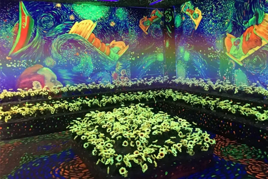 LED双色显示屏：科技与视觉艺术的融合